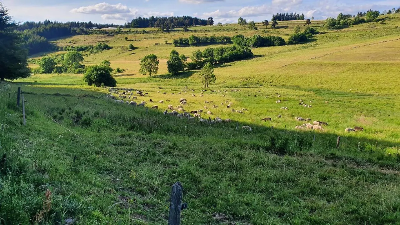 Les gîtes Estaou Treillo Le Monastier sur Gazeille Hébergement de vacances