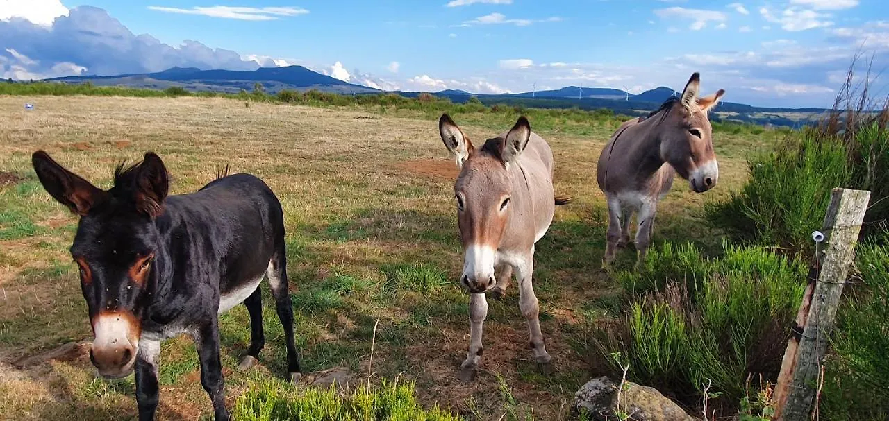 Les gîtes Estaou Treillo Le Monastier sur Gazeille Hébergement de vacances