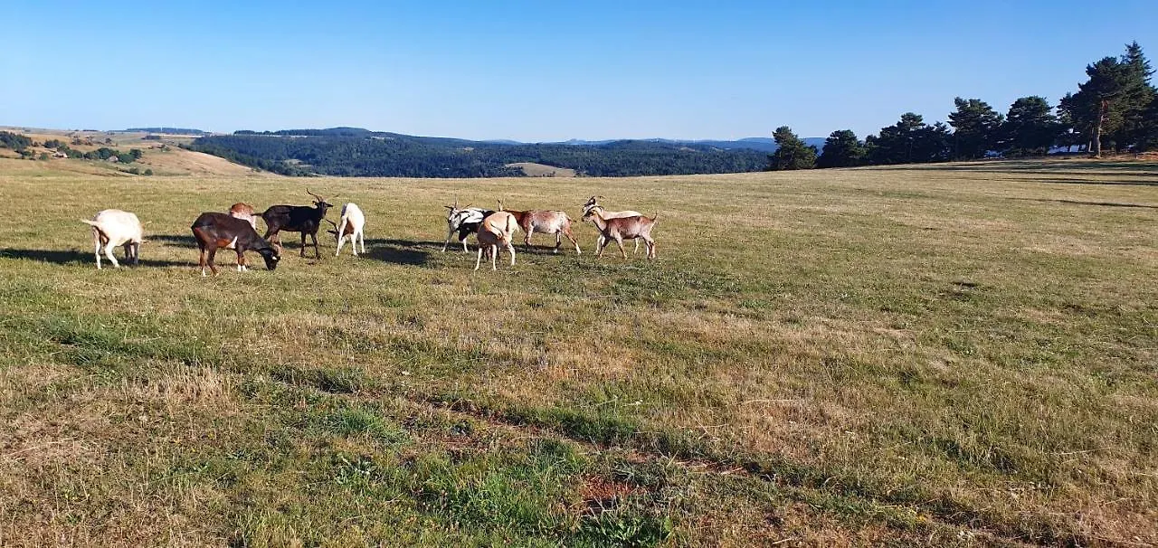Les gîtes Estaou Treillo Le Monastier sur Gazeille France